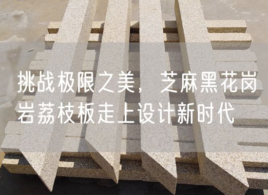 挑戰極限之美，芝麻黑花崗巖荔枝板走上設計新時(shí)代