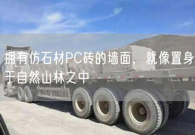 擁有仿石材PC磚的墻面，就像置身于自然山林之中