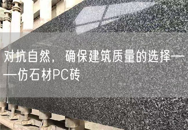 對抗自然，確保建筑質(zhì)量的選擇——仿石材PC磚