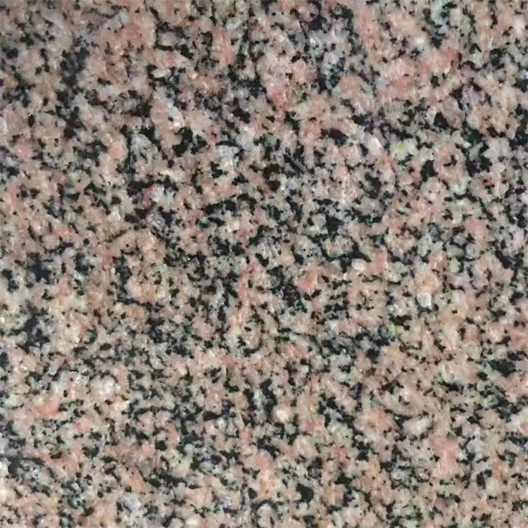 湖北芝麻白廠(chǎng)家批發(fā)(圖1)