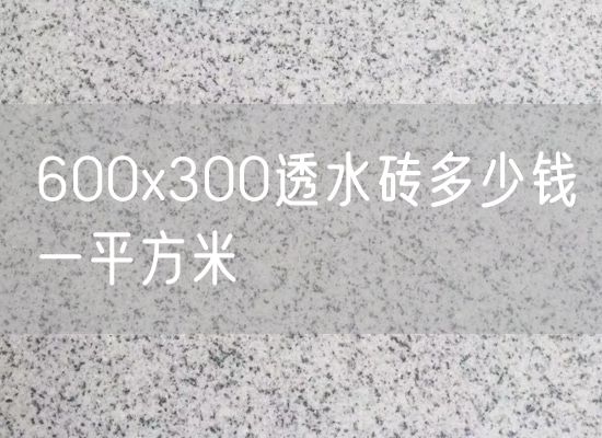 600x300透水磚多少錢(qián)一平方米