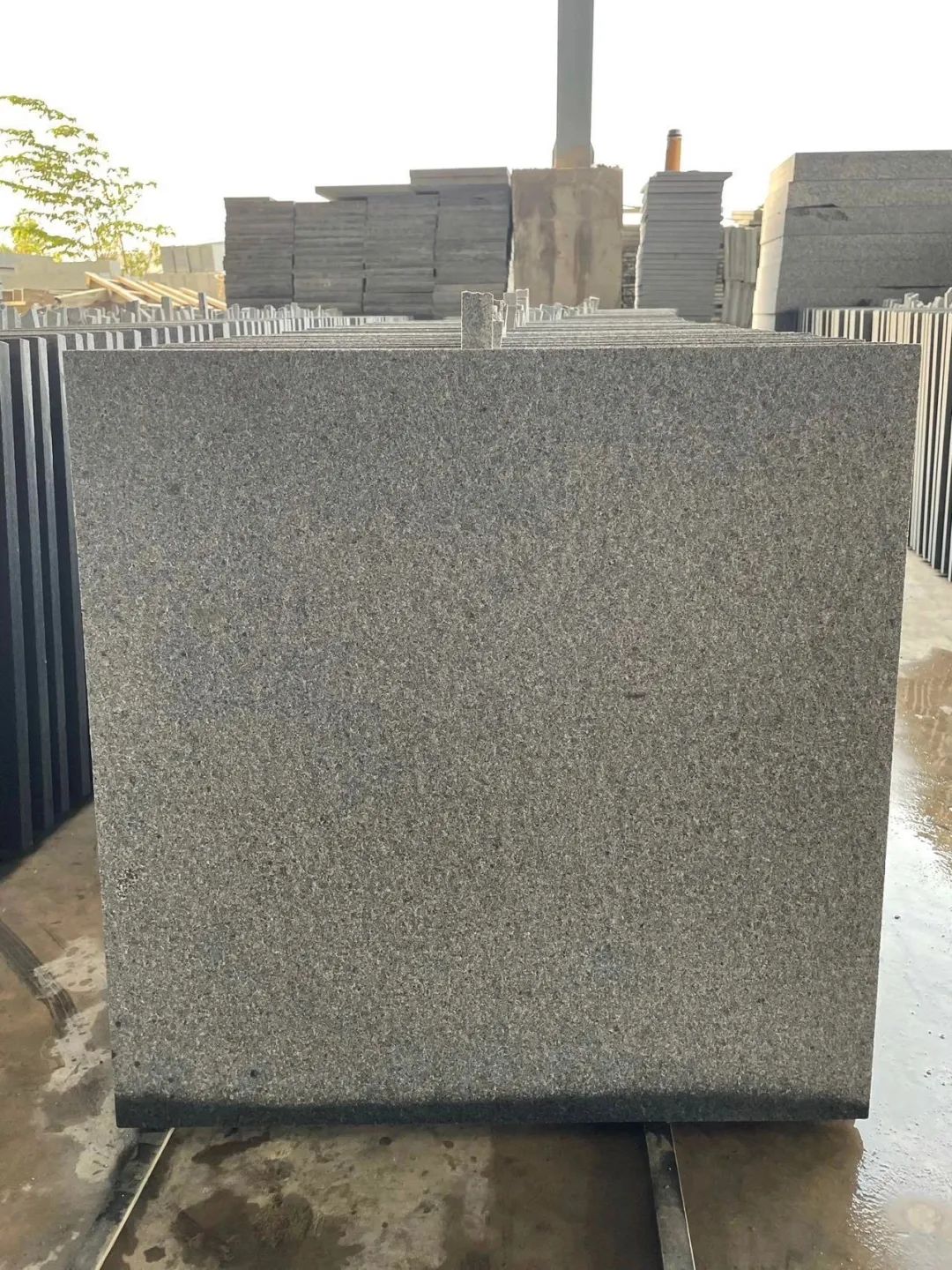 3公分厚300×600石材:芝麻黑、芝麻灰、芝麻白花崗巖種類及價(jià)格(圖10) 3公分厚300×600石材:芝麻黑、芝麻灰、芝麻白花崗巖種類及價(jià)格(圖10)