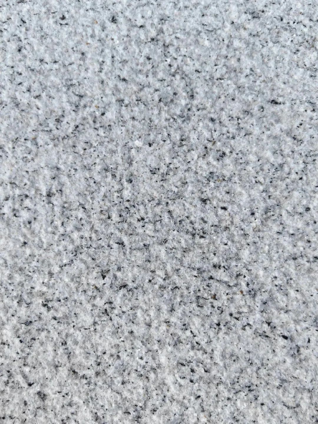 3公分厚300×600石材:芝麻黑、芝麻灰、芝麻白花崗巖種類及價(jià)格(圖22) 3公分厚300×600石材:芝麻黑、芝麻灰、芝麻白花崗巖種類及價(jià)格(圖22)