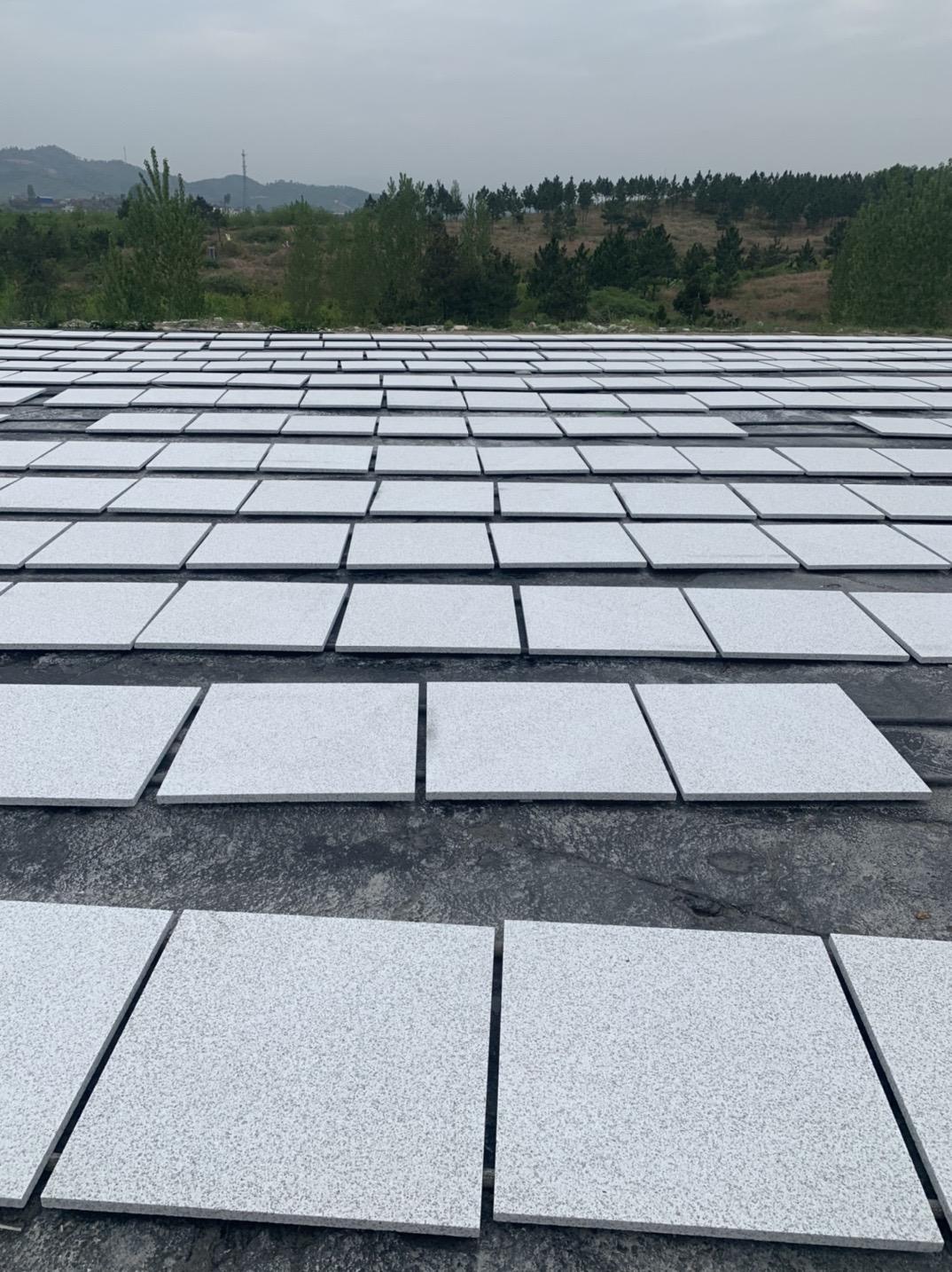 山東白麻地鋪石材荔枝面及光面加工(圖4) 山東白麻地鋪石材荔枝面及光面加工(圖4)