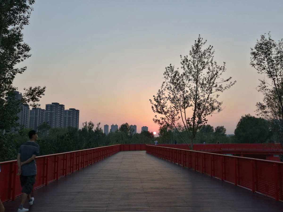 芝麻白火燒面 廣場(chǎng)地鋪芝麻白石板 芝麻白石材廠(chǎng)家