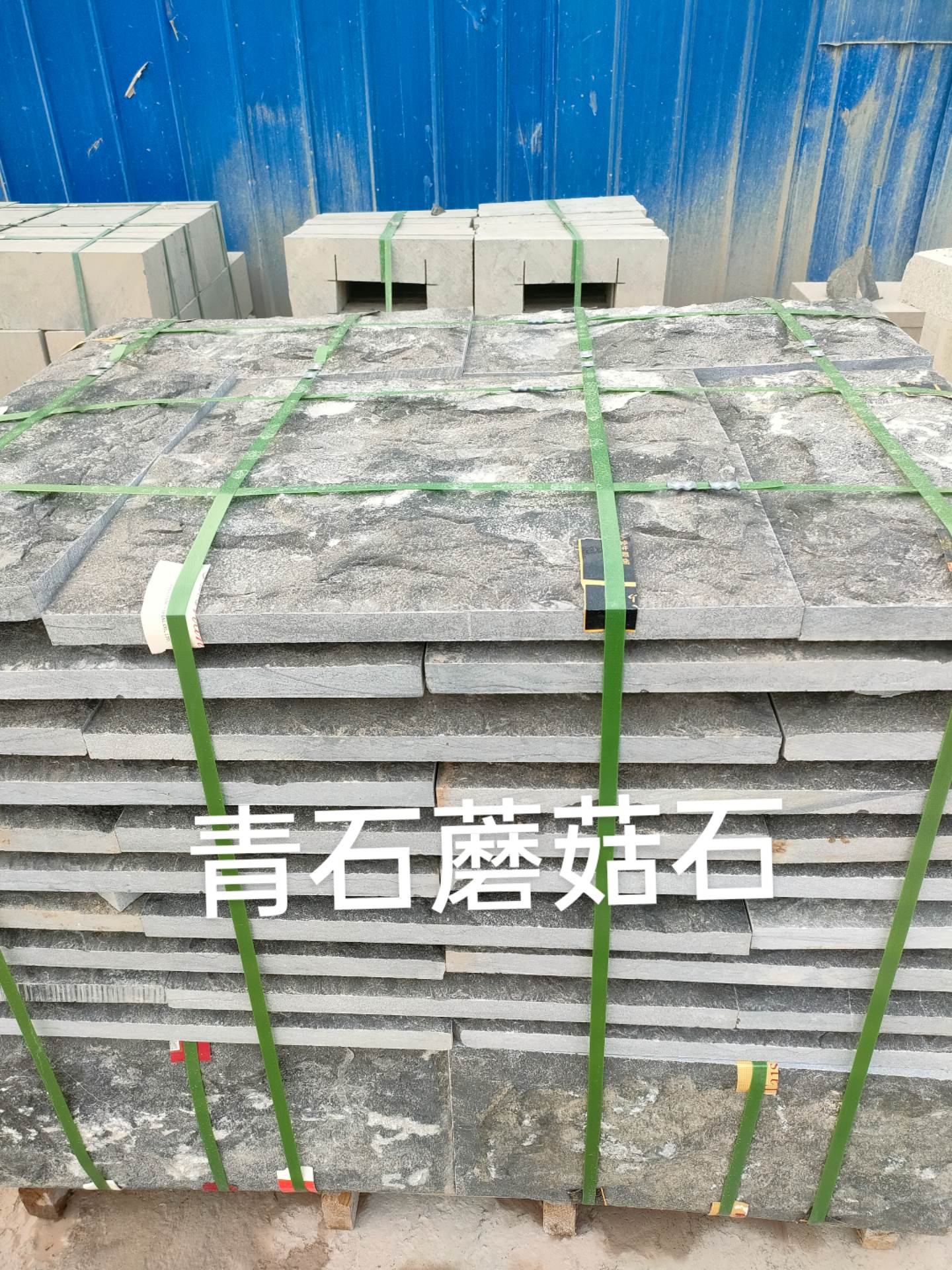 pu石皮蘑菇石
