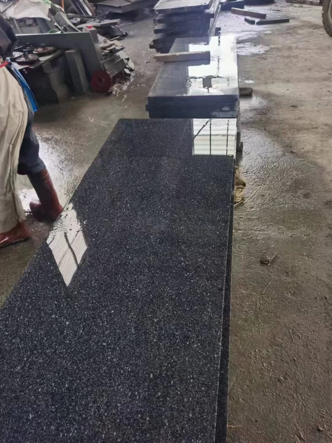 芝麻黑圖片