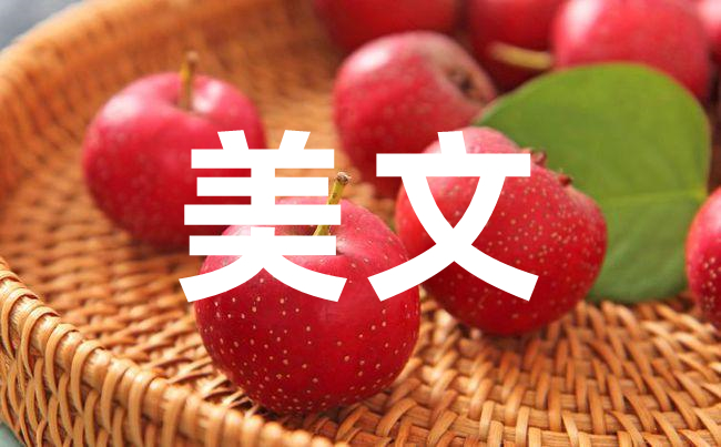探究周寧美文線(xiàn)下寫(xiě)作：如何讓手寫(xiě)字更加優(yōu)美？